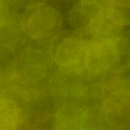 Bokeh-435